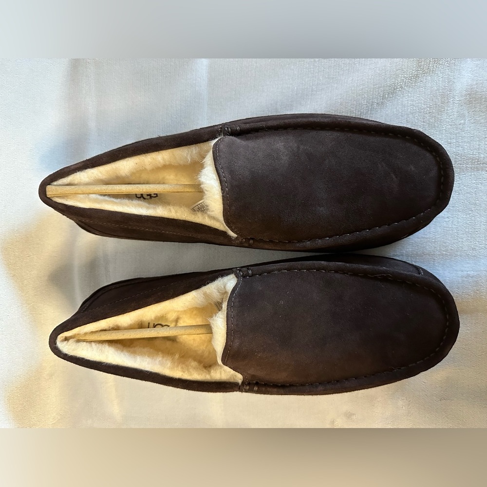 Ugg Mens Ascot Slipper Espresso Size 13